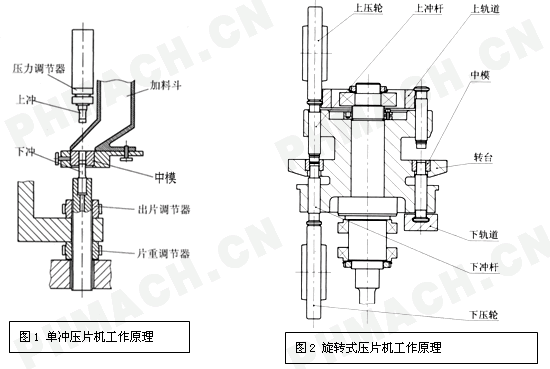 单冲压片机与旋转式压片机的比较 